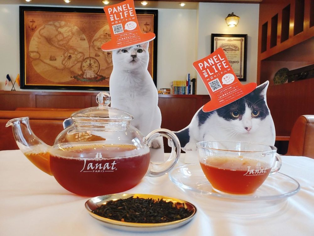 Janat French Oak Tea